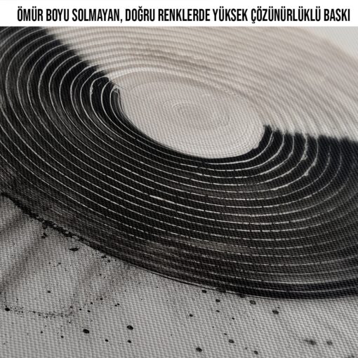 Sanatsal Siyah Beyaz Spiral Desenli Kanvas Tablo6